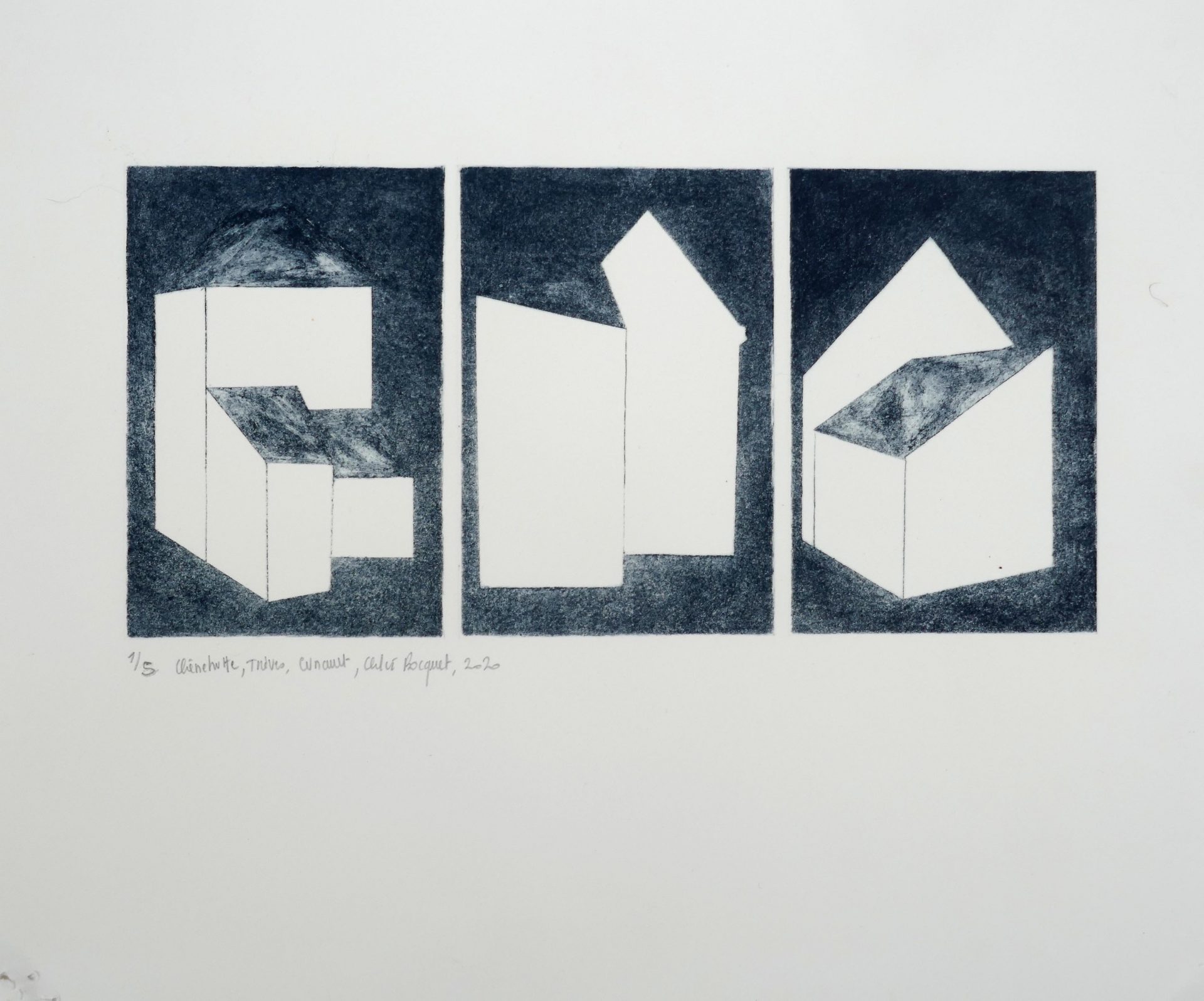 Chênehutte- Trèves-Cunault, 2020, drypoints, image size 30x15 cm, paper size 33 x39 cm, edition of 5